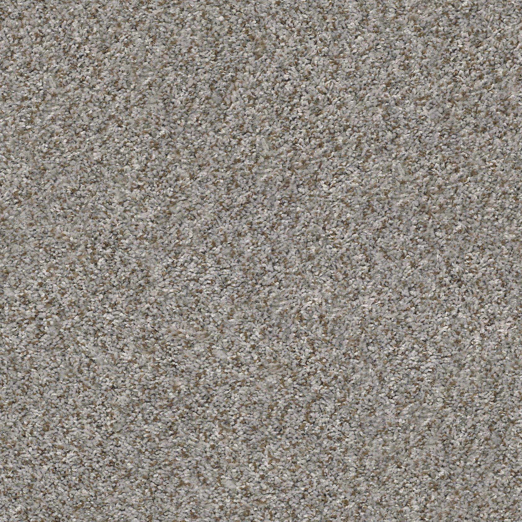 Color swatch of Cabana Bay Granite carpet from Shaw Floors.