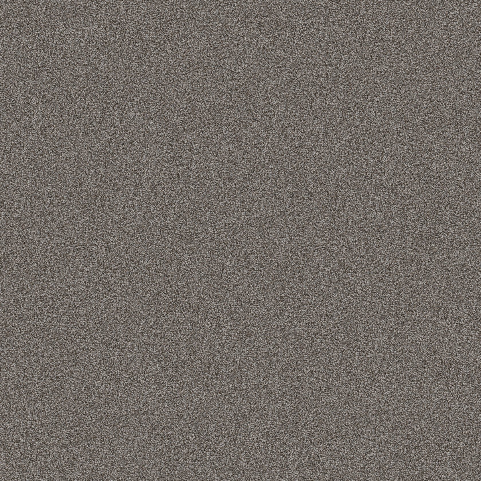 Color swatch of Cabana Bay Mountain Path by Shaw Floors.