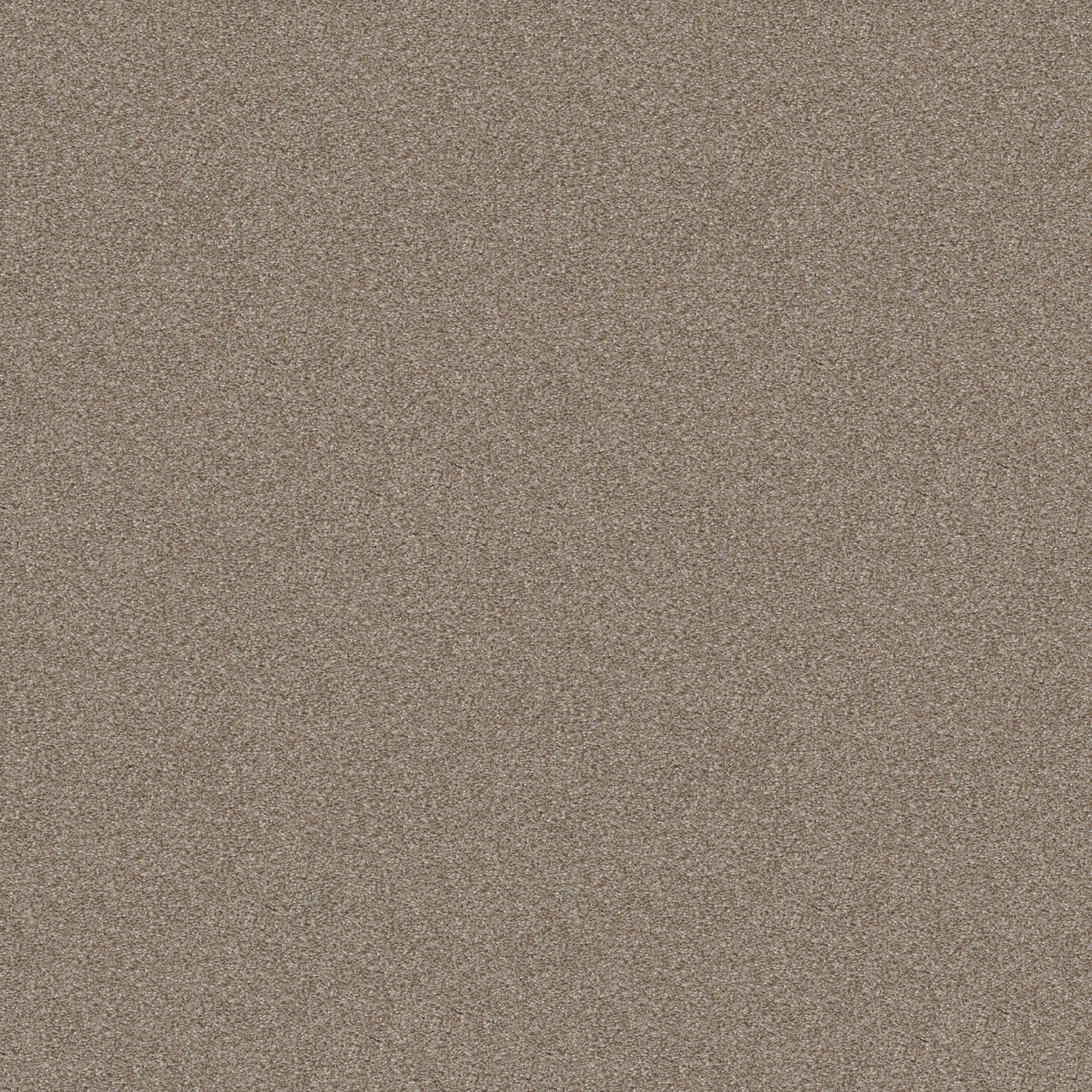 Shaw Pebble Creek carpet in the Cabana Bay collection, large color swatch.