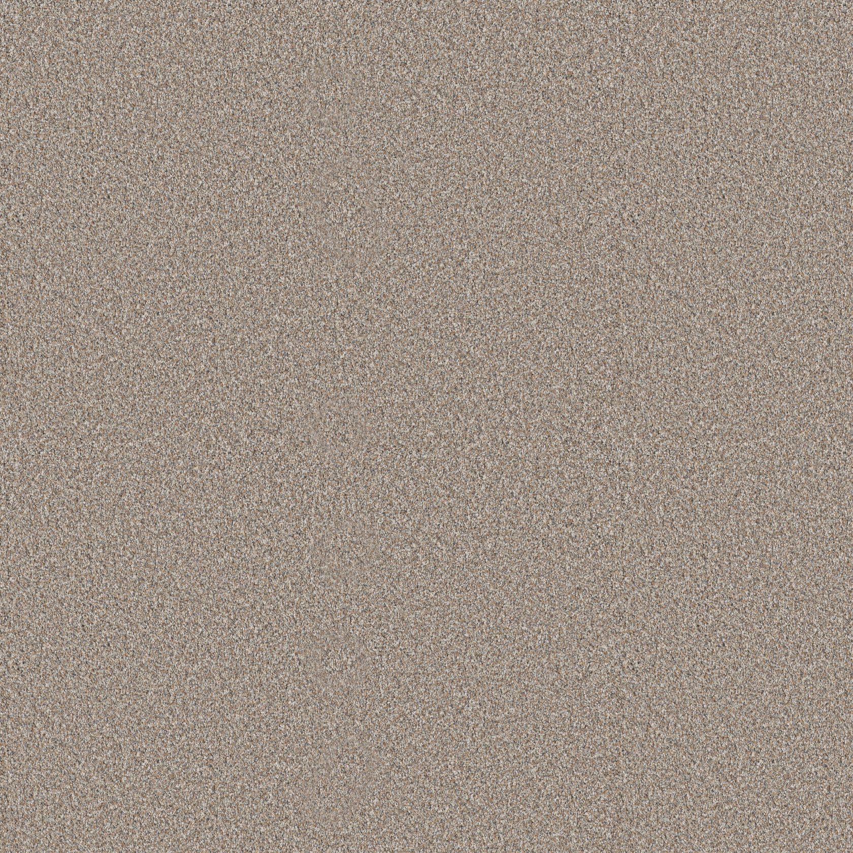 Large color swatch of Dawn Beige from Elevated I Shaw Carpet collection.