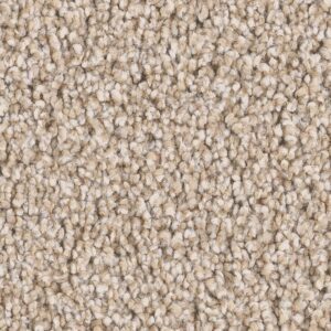 Shaw carpet swatch of Grand Influence I in the color Satin Shimmer, part of their pet perfect collection.