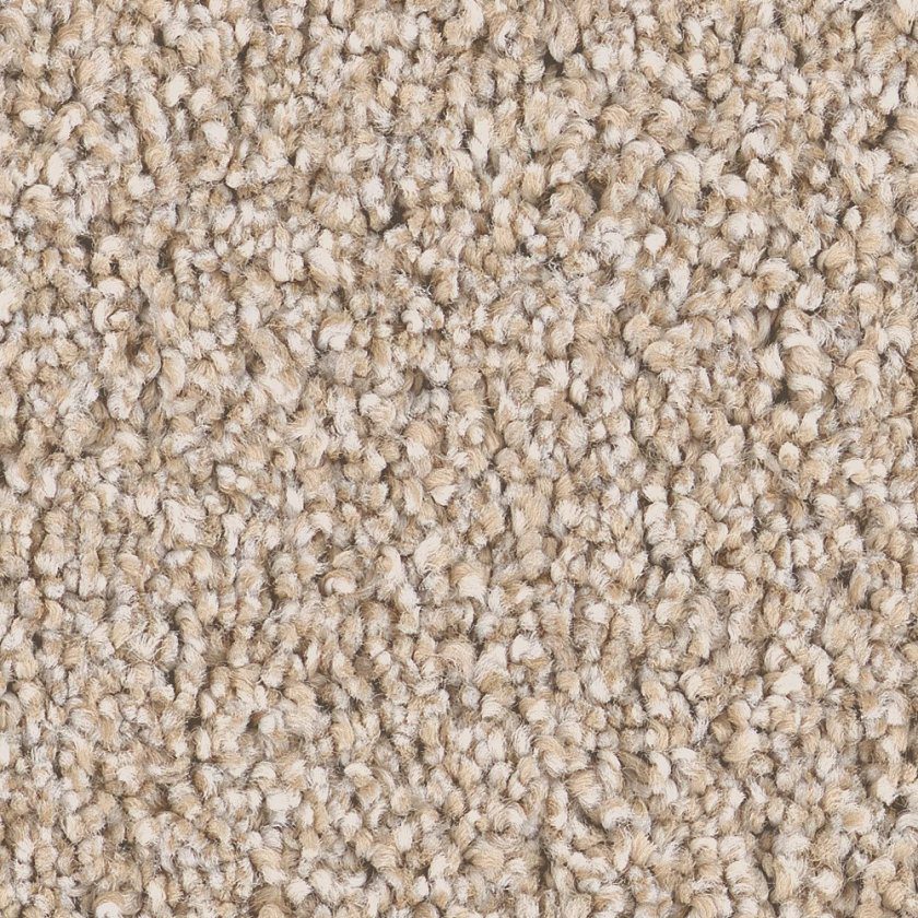 Shaw carpet swatch of Grand Influence I in the color Satin Shimmer, part of their pet perfect collection.