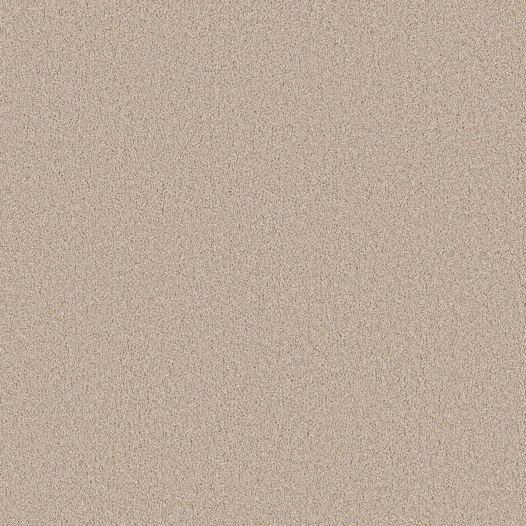 Shaw carpet picture showing a larger swath of Grand Influence in the color Satin Shimmer.