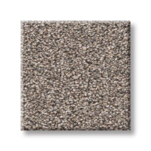 Shaw carpet in the Grand Influence I collection, in the color Stepping Stone.