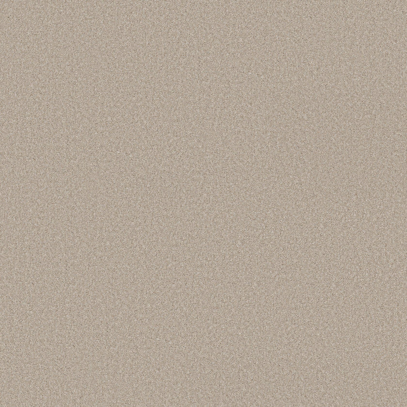 Large photo of Shaw Carpet, from the Wonderland II collection, in color outer banks.