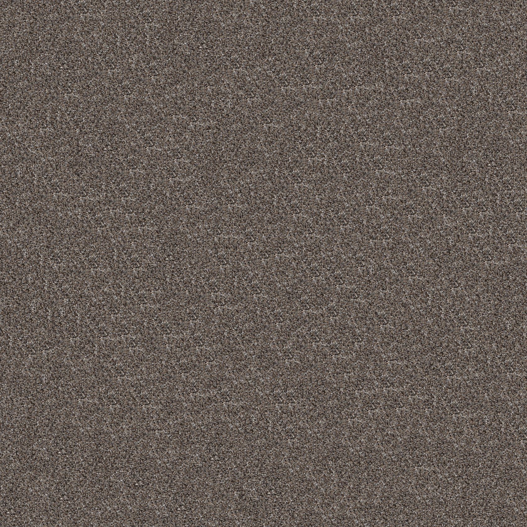 Shaw Elevated I large image of what the carpet pattern looks like in color: Flint