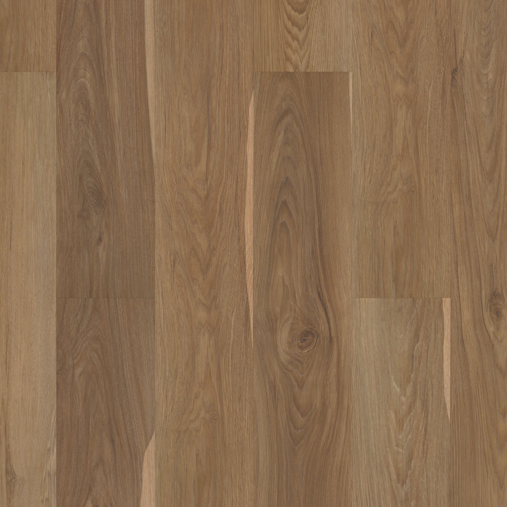 Shaw Pantheon HD+ Natural Bevel in color Olive Tree color swatch.