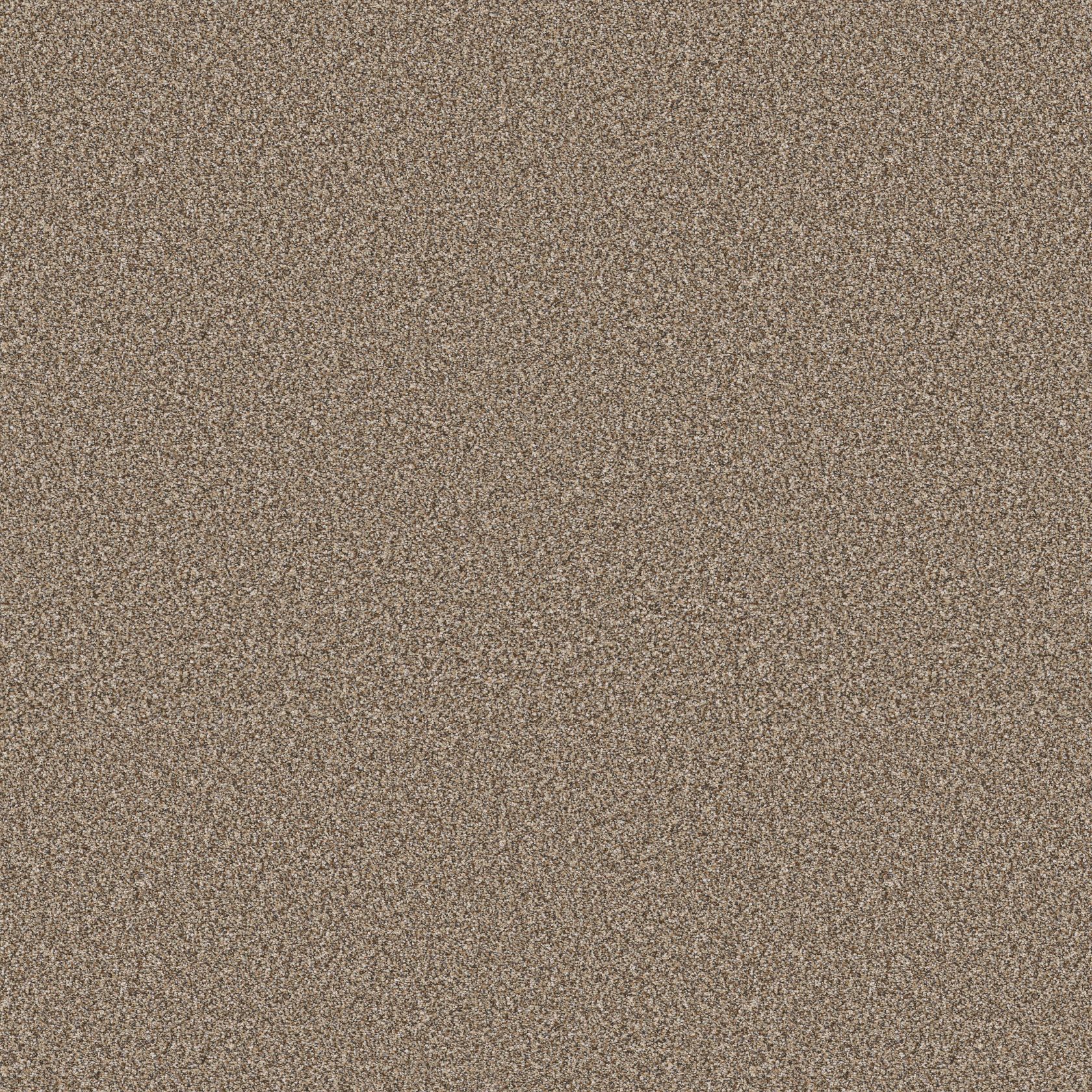 A large image of Elevated I Rodeo carpet from Shaw Floors.